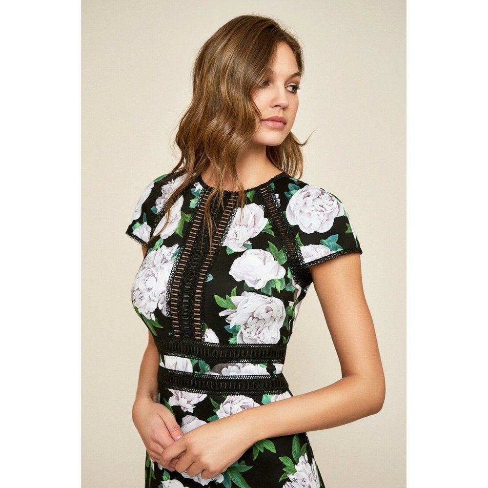 Tadashi Shoji Dress Size 12 Floral Short Sleeve NEW $368 Indigo Floral Neoprene - Picture 3 of 8